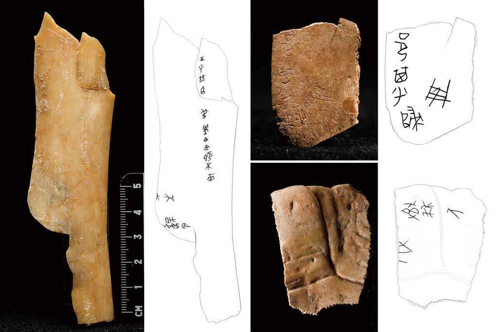 陜西寶雞市周原遺址出土的刻辭甲骨及摹本（拼版照片，資料照片）。