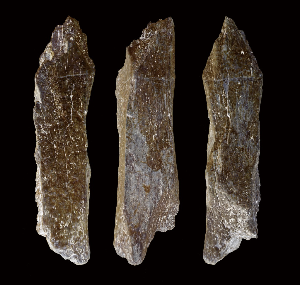 吉林和龍市大洞舊石器時代遺址第一階段出土的線雕骨器（資料照片）。