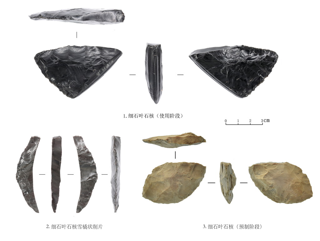 吉林和龍市大洞舊石器時代遺址第三階段出土的細石葉技術產品（資料照片）。
