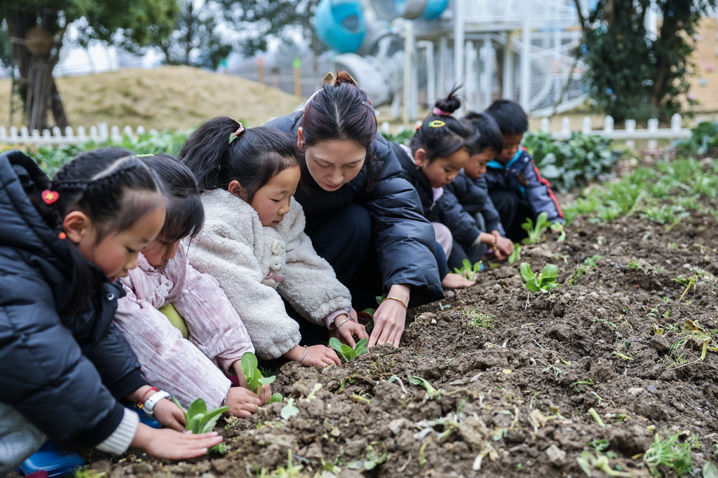 2月19日，諸暨市暨南街道街亭幼兒園的老師在農耕課上指導孩子們種植蔬菜苗。