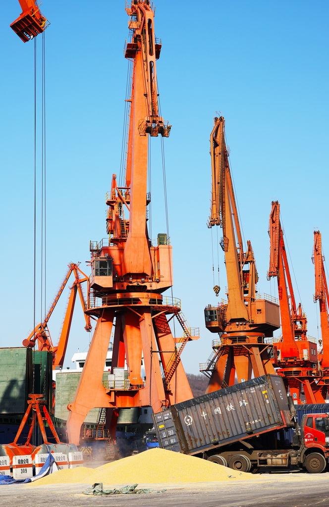 2月18日，在營口港鲅魚圈港區，裝滿玉米的敞頂箱在碼頭卸貨。