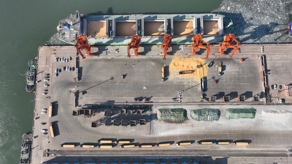 2月18日，在營口港鲅魚圈港區，門機將玉米吊裝到散糧運輸船舶上（無人機照片）。