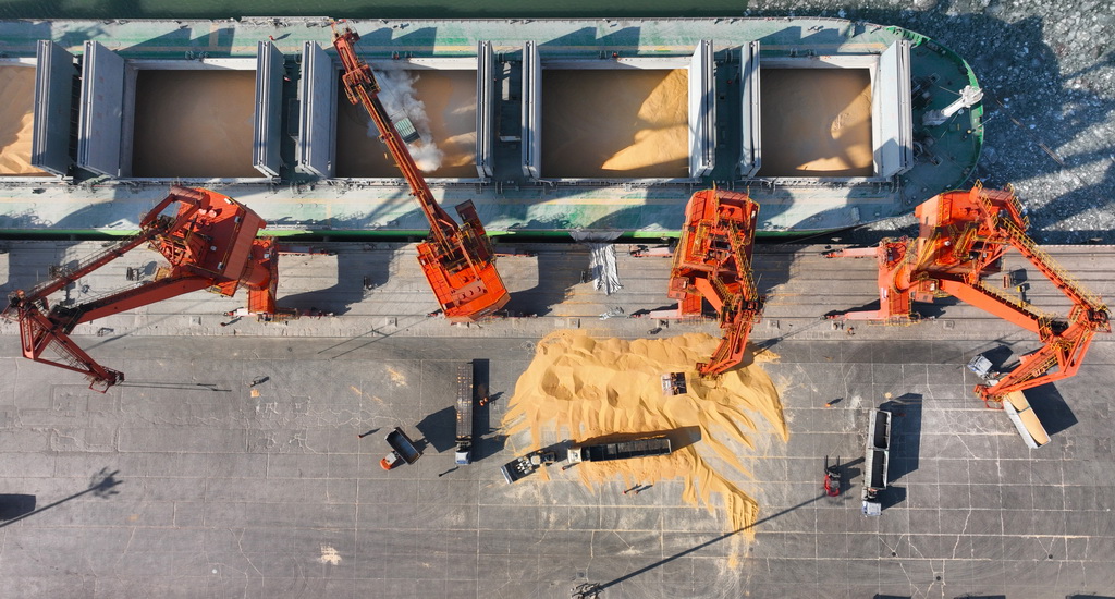 遼寧營口：“北糧南運”運輸忙