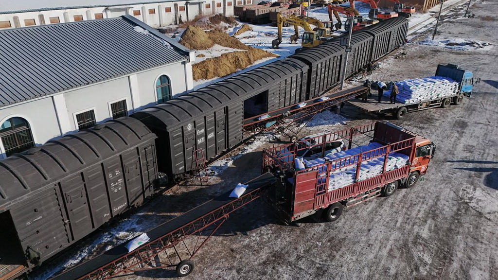 2月20日，在位于雙鴨山市的北大荒農業股份有限公司友誼分公司鐵路農資貨運專用線貨運站，工人進行化肥卸車轉運作業（無人機照片）。