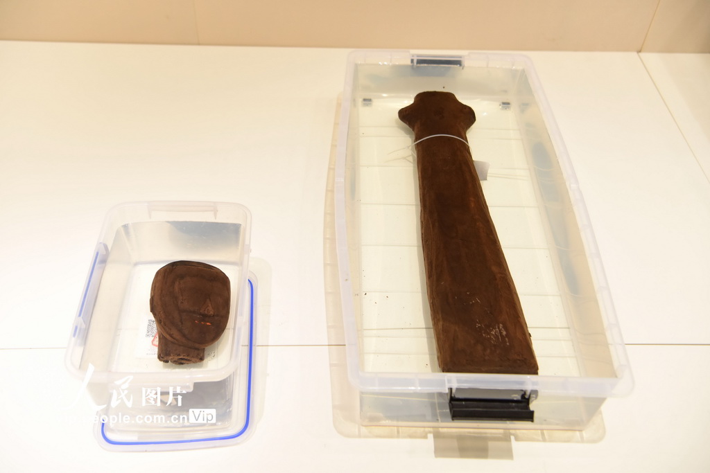 安徽淮南：推進武王墩墓發掘保護利用【9】