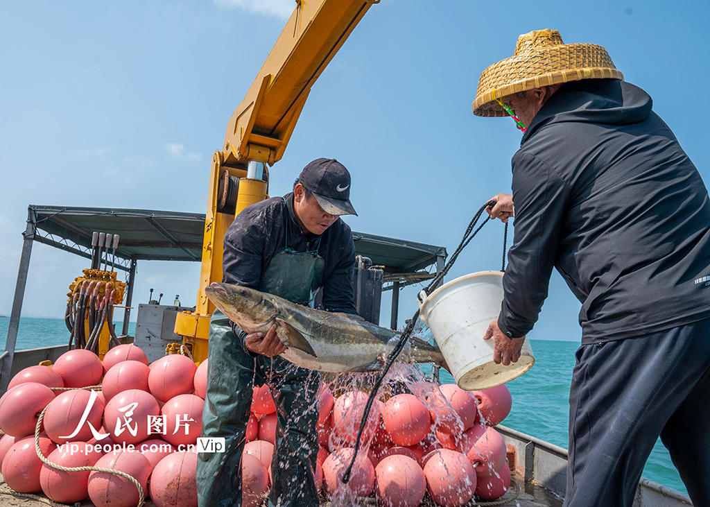 海南?？冢骸昂Ｉ夏翀觥庇S收【2】