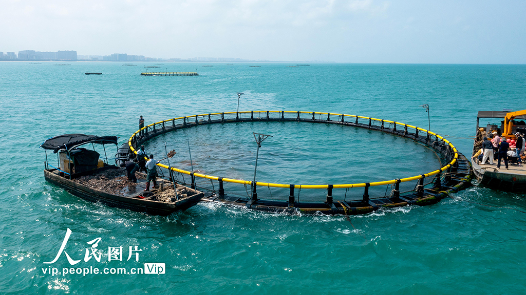 海南?？冢骸昂Ｉ夏翀觥庇S收【3】