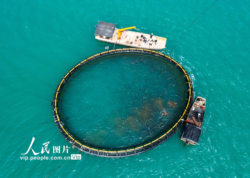 海南?？冢骸昂Ｉ夏翀觥庇S收【4】