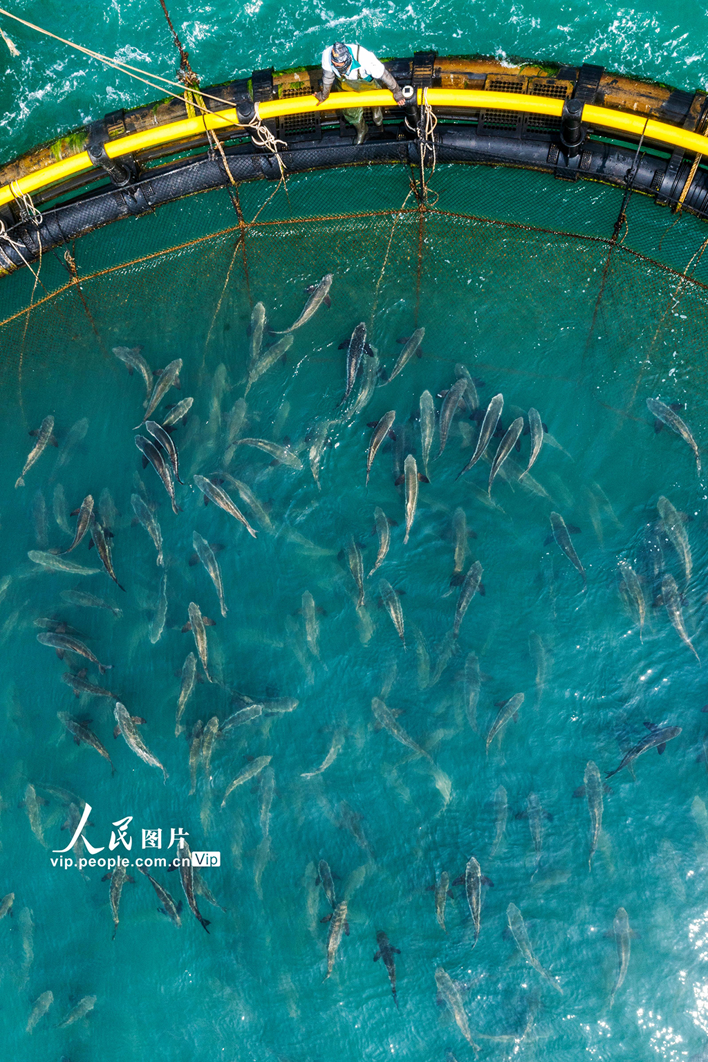 海南?？冢骸昂Ｉ夏翀觥庇S收【5】