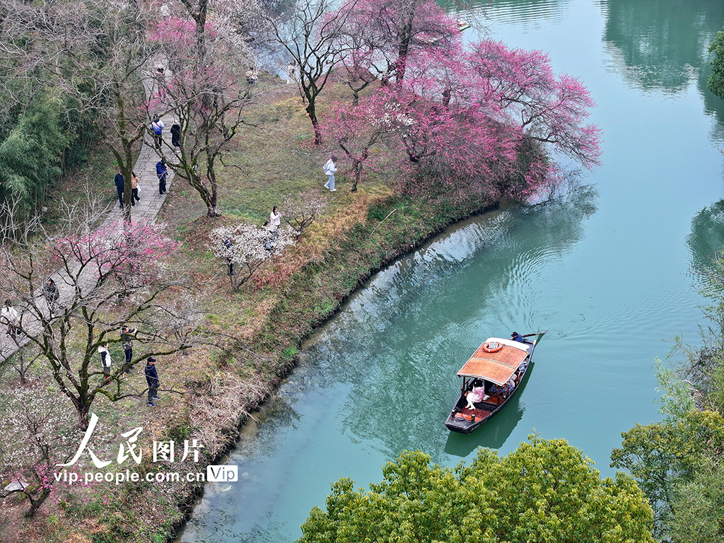 浙江杭州：梅花盛開游客來【4】