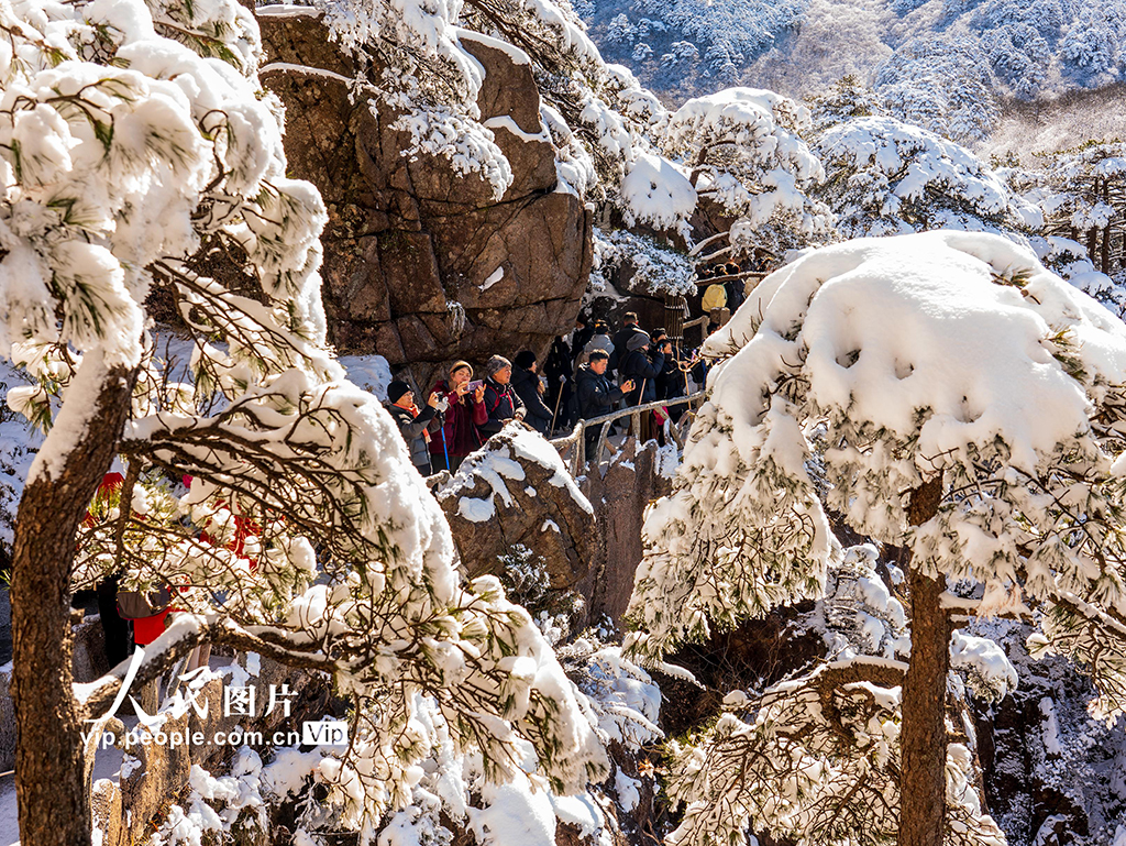 安徽黃山：霧凇云海美不勝收【3】