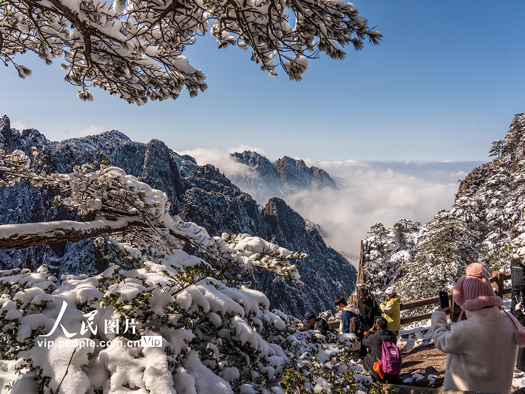 安徽黃山：霧凇云海美不勝收【4】