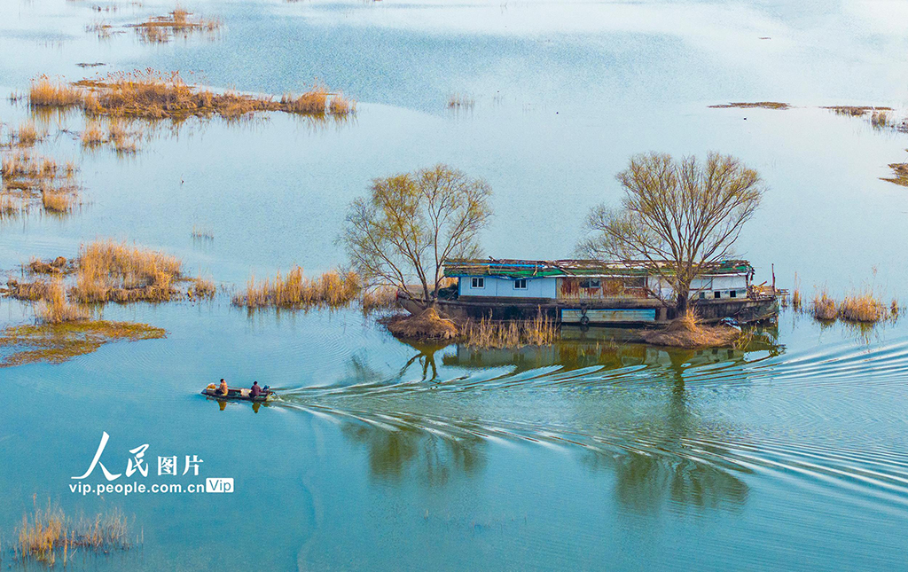 江蘇泗洪：初春濕地景如畫