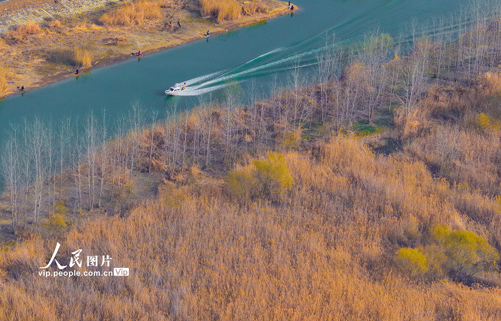 江蘇泗洪：初春濕地景如畫【5】