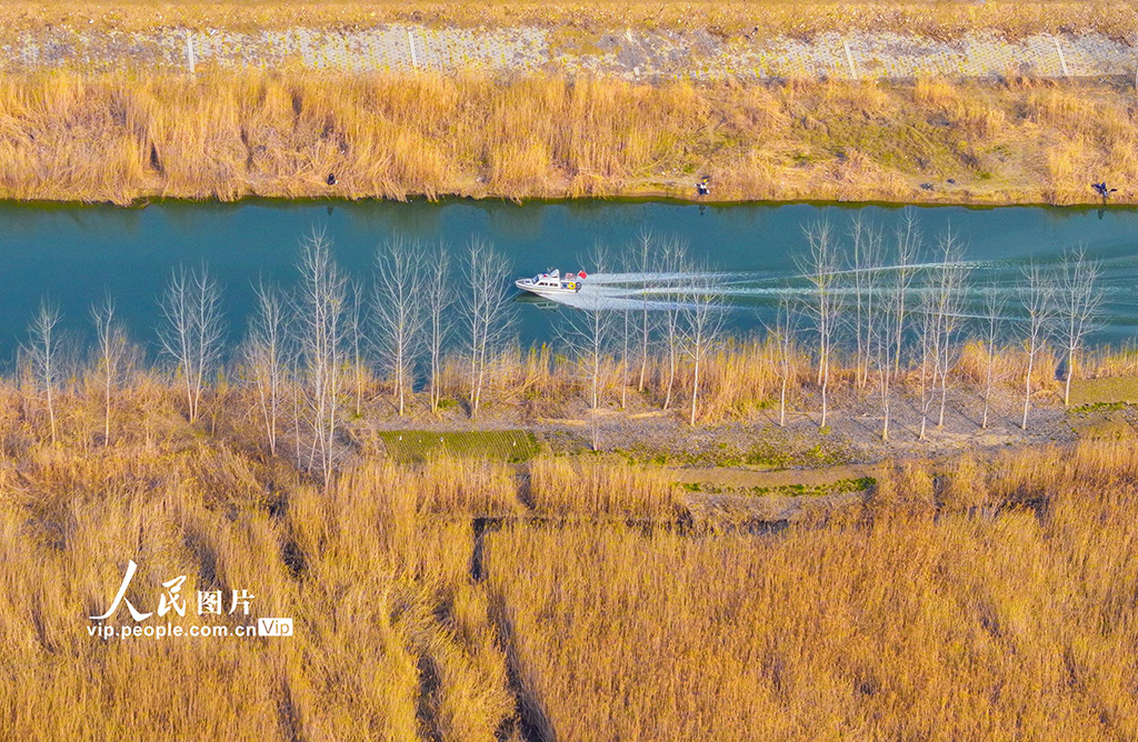 江蘇泗洪：初春濕地景如畫【6】
