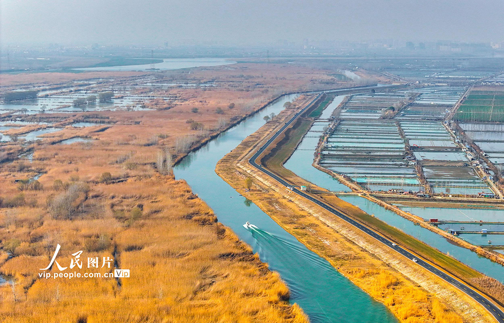 江蘇泗洪：初春濕地景如畫【7】