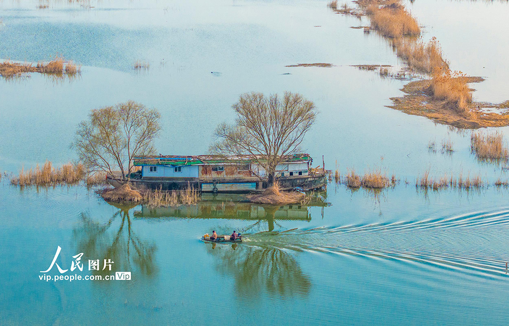 江蘇泗洪：初春濕地景如畫【8】