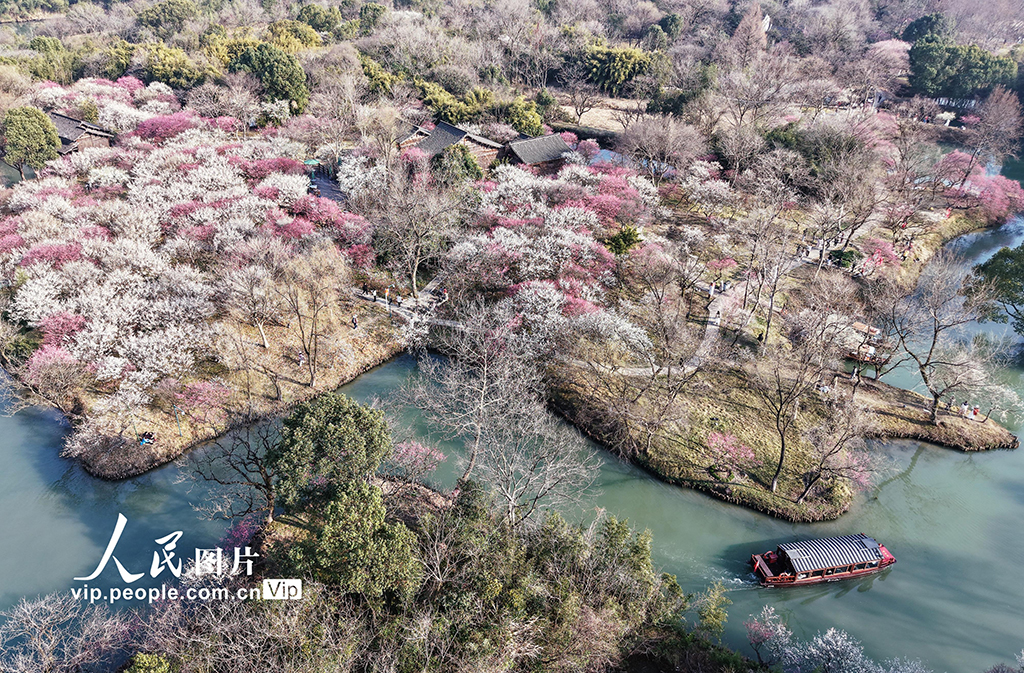 浙江杭州：西溪賞梅【5】