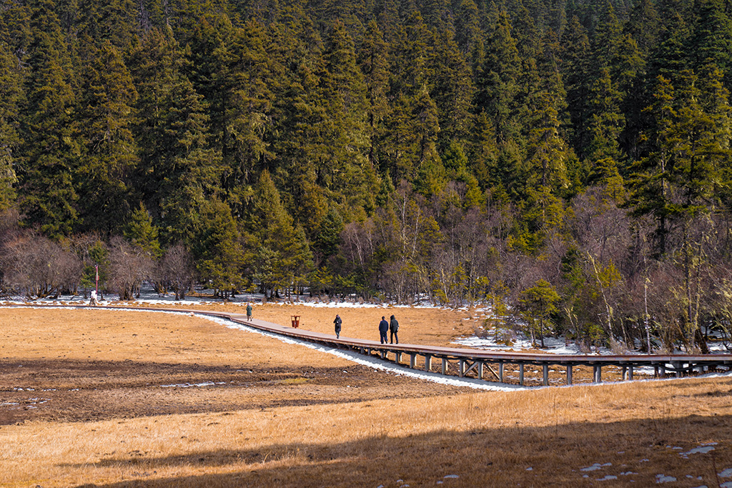 云南普達措：雪山碧水繪就高原生態畫卷