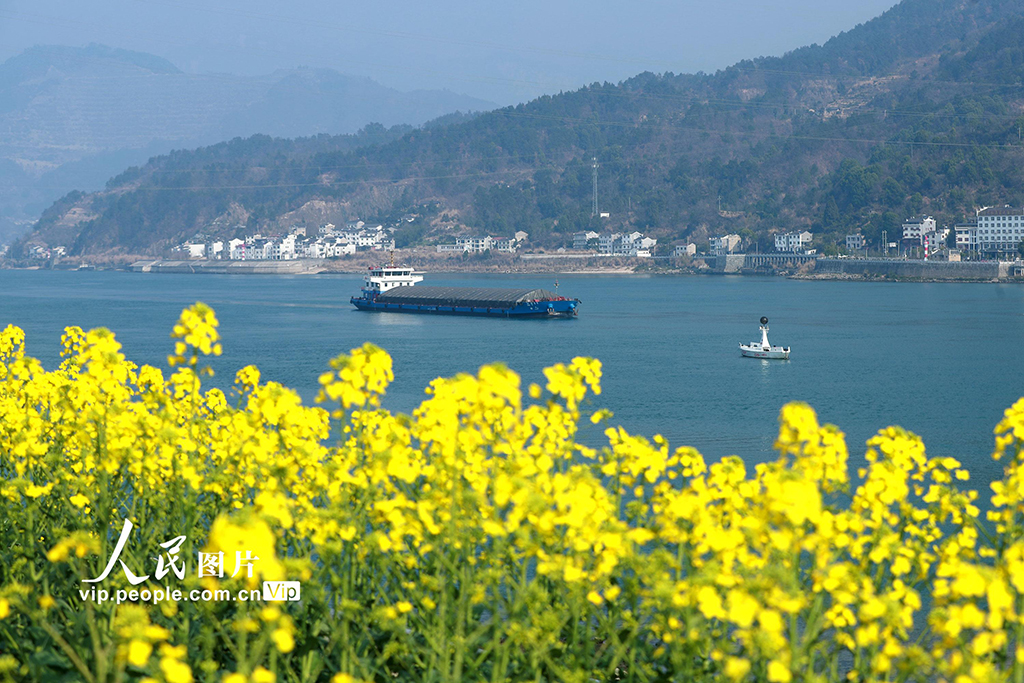 湖北宜昌：春到三峽