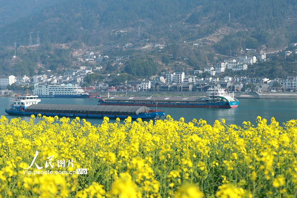 湖北宜昌：春到三峽【3】