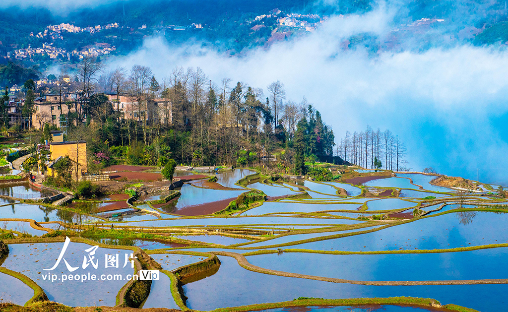 云南元陽：哈尼梯田美如畫
