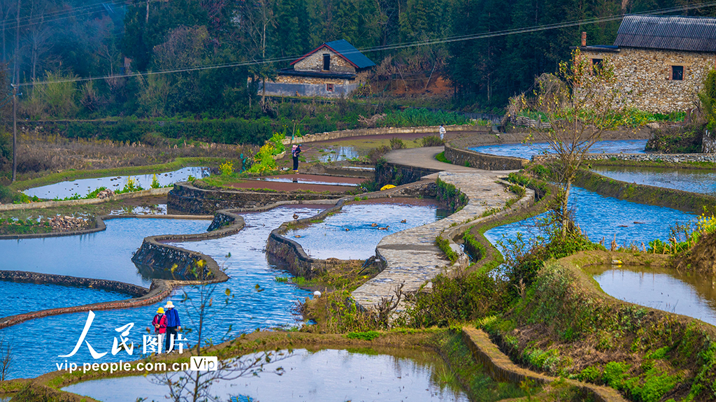 云南元陽：哈尼梯田美如畫【2】