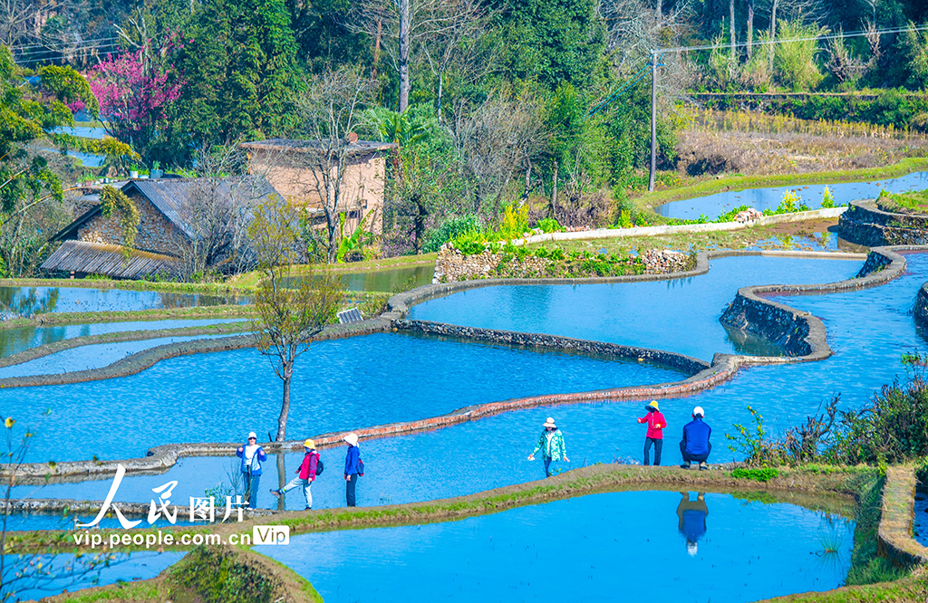 云南元陽：哈尼梯田美如畫【3】
