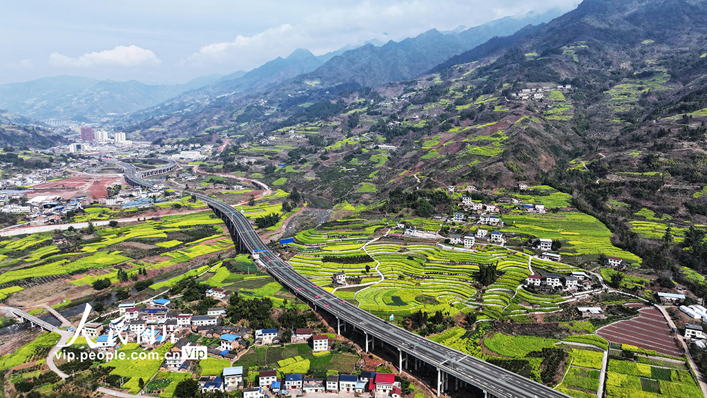 四川宜賓：油菜花海引客來【4】