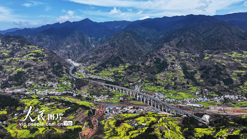 四川宜賓：油菜花海引客來【5】