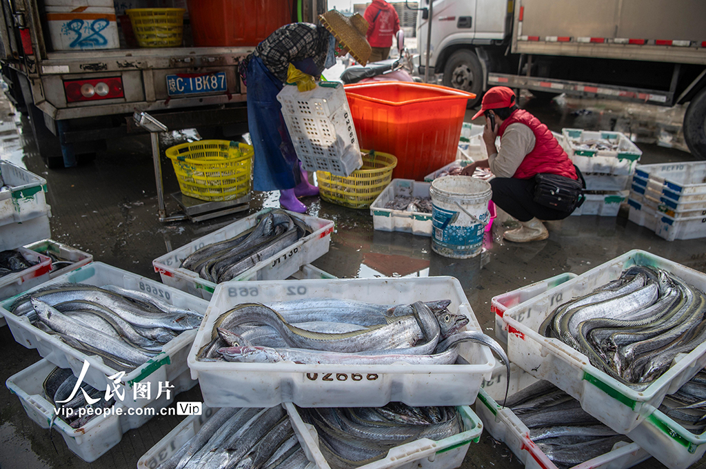 海南文昌：南海春汛魚滿倉【2】