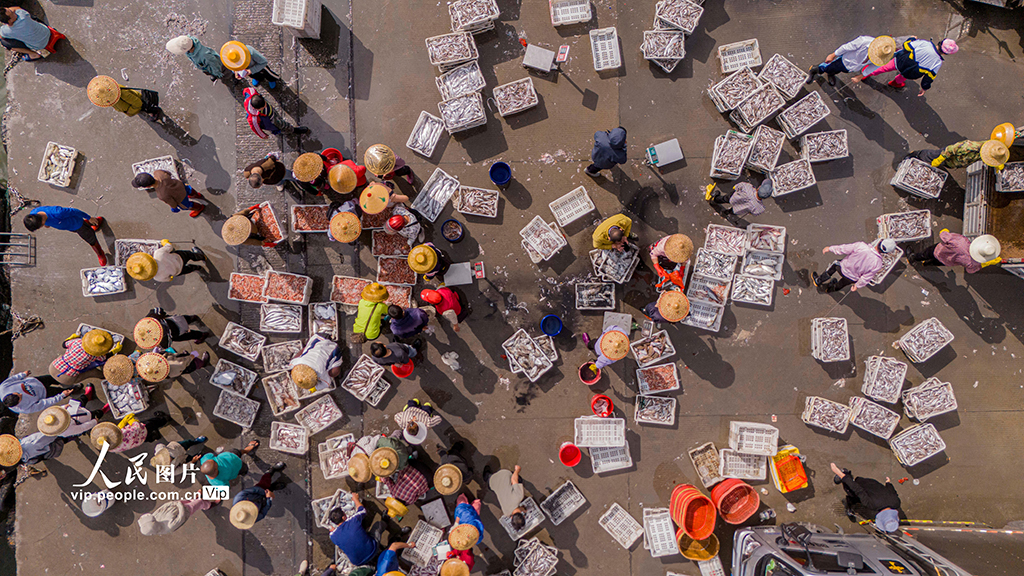 海南文昌：南海春汛魚滿倉【6】