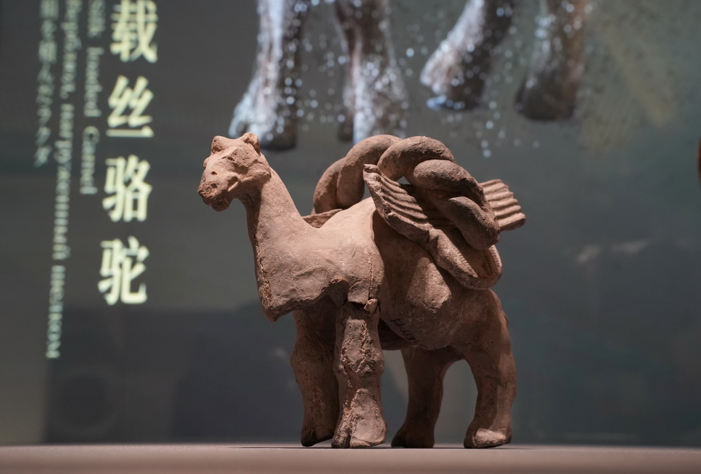 西部機場博物館展出的北周文物彩繪陶載絲駱駝（2月26日攝）。
