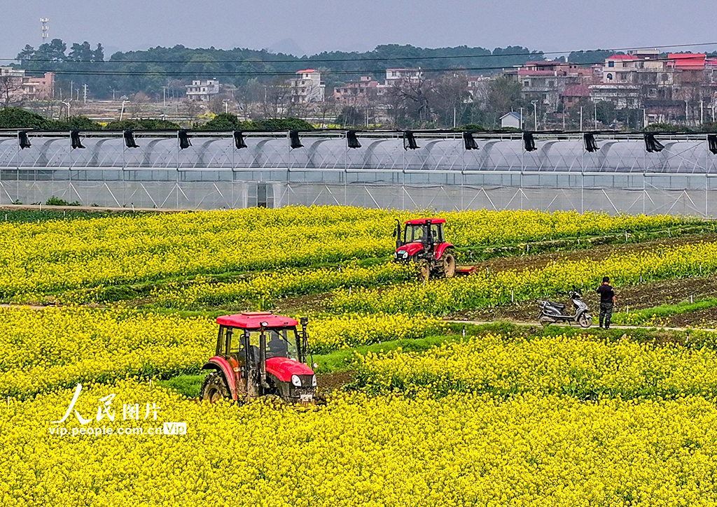 湖南道縣：春耕忙
