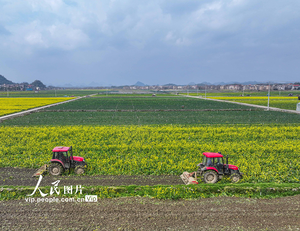 湖南道縣：春耕忙【2】