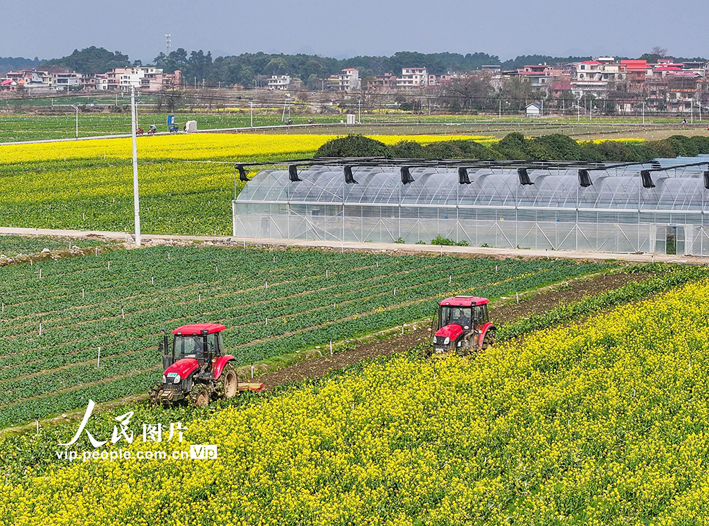 湖南道縣：春耕忙【4】