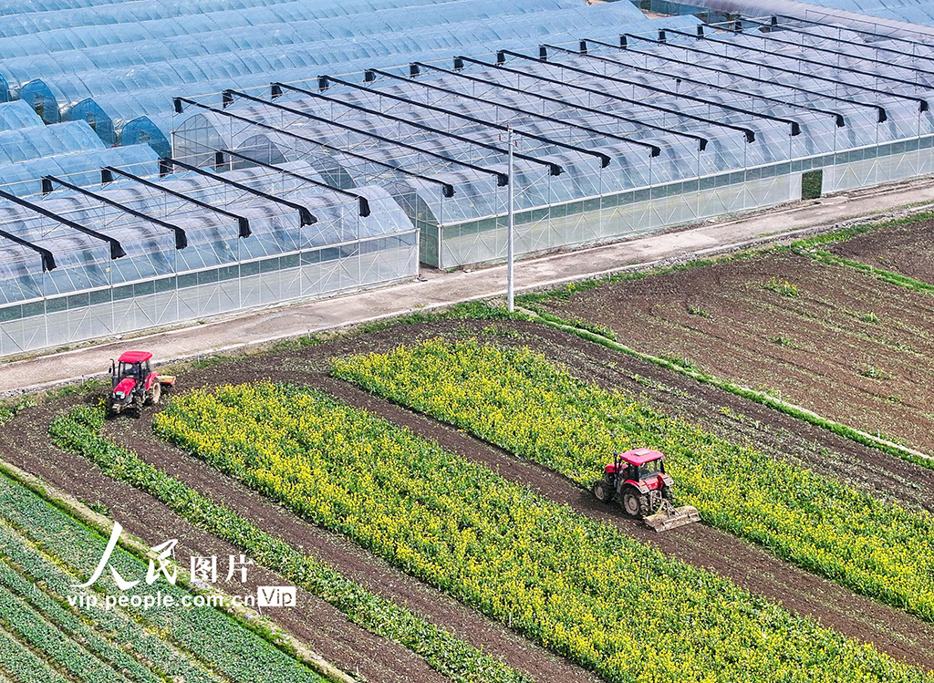 湖南道縣：春耕忙【5】