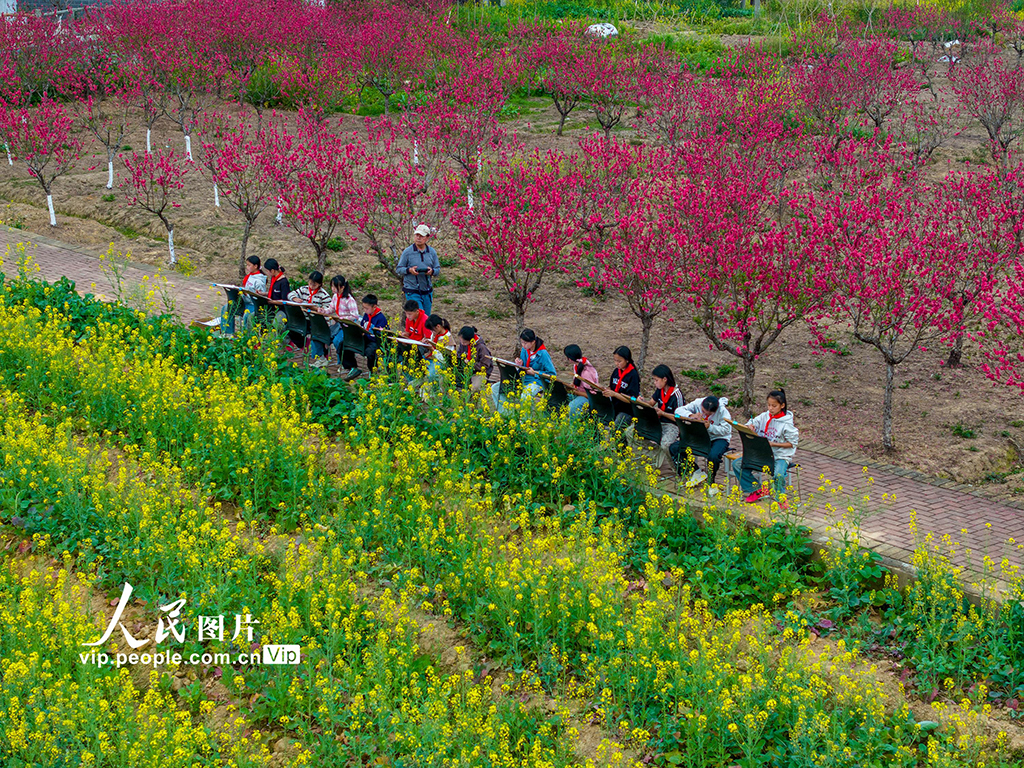 廣西蒼梧：花間寫生繪春光【2】