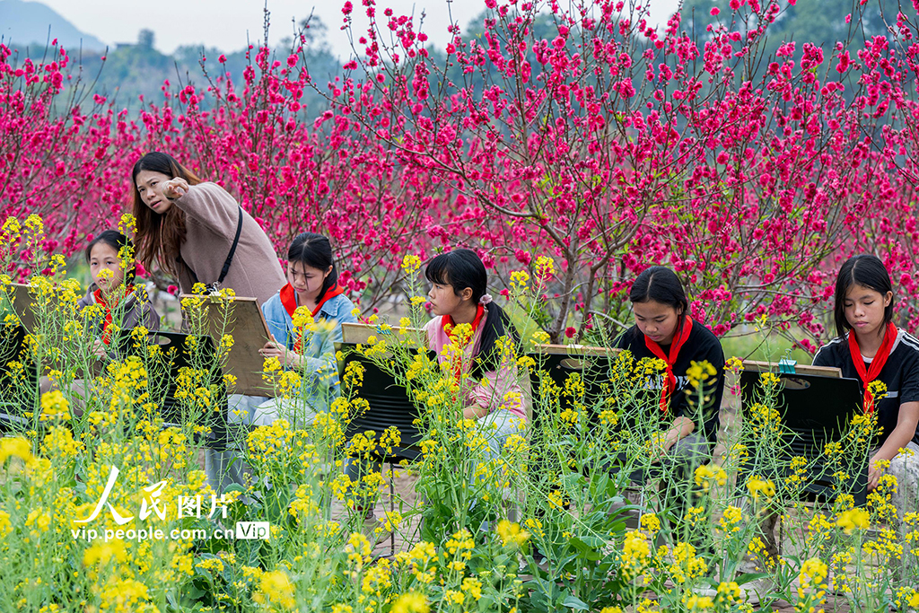 廣西蒼梧：花間寫生繪春光