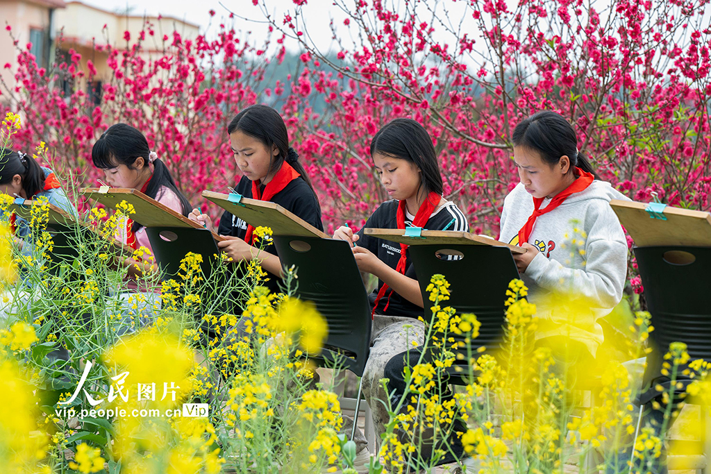 廣西蒼梧：花間寫生繪春光【5】