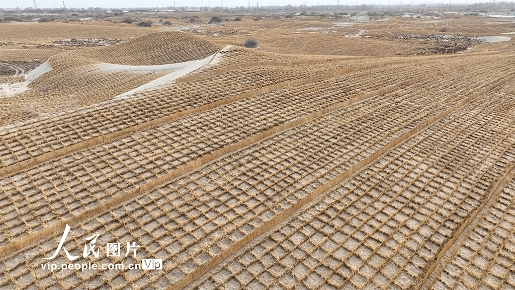 甘肅金塔：壓沙筑牢生態防線 守護綠色家園【4】