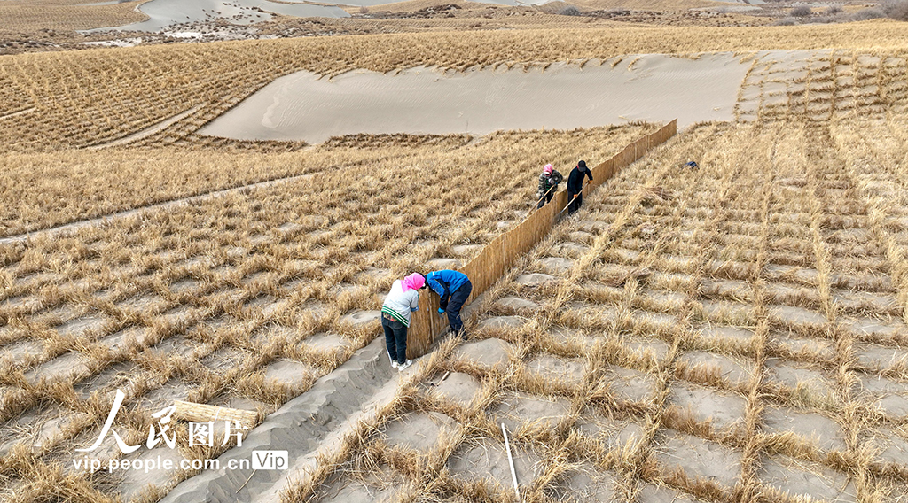 甘肅金塔：壓沙筑牢生態防線 守護綠色家園【7】