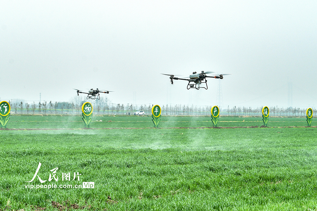 安徽銅陵：無人機施肥【3】