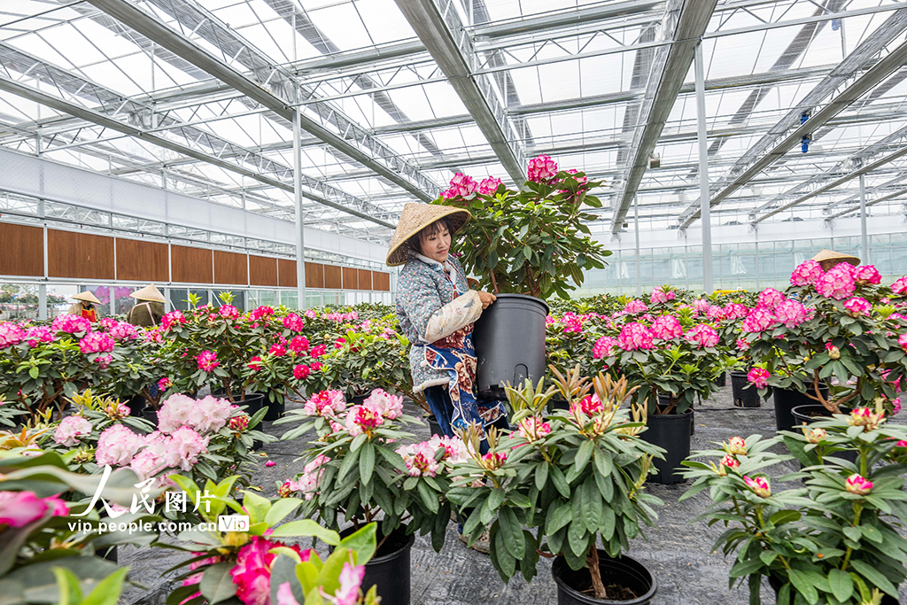 貴州畢節：花卉基地科技+【3】