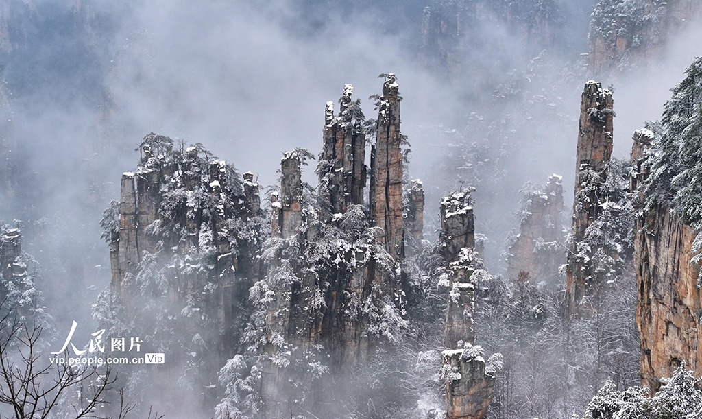 湖南張家界：春雪染峰林【5】