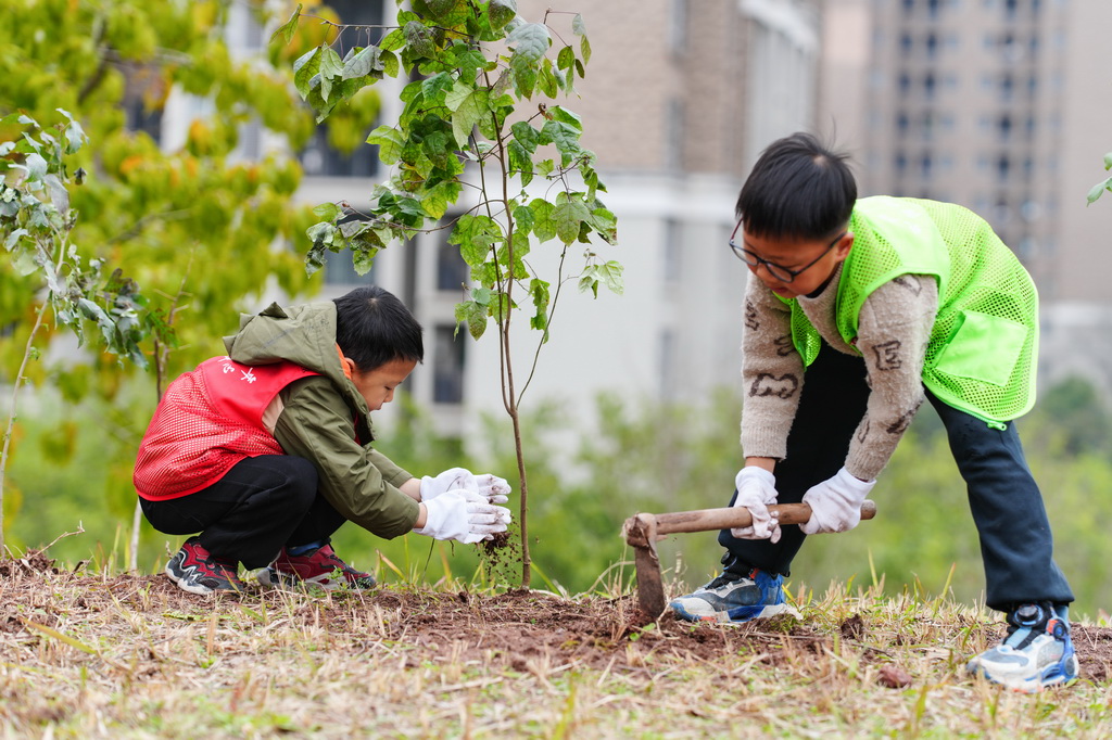 3月9日，小朋友在重慶市北碚區水土街道萬壽社區健康健身公園進行義務植樹。新華社發（秦廷富攝）