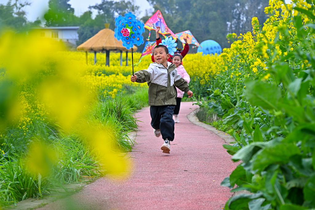 3月9日，小朋友在四川省眉山市仁壽縣青崗鄉盤龍村的油菜花叢中游玩。新華社發（潘建勇攝）