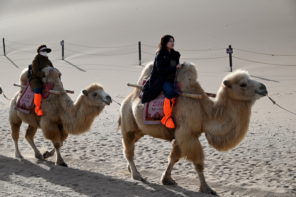 3月8日，人們在甘肅省敦煌市鳴沙山月牙泉景區騎駱駝游覽。新華社發（張曉亮攝）