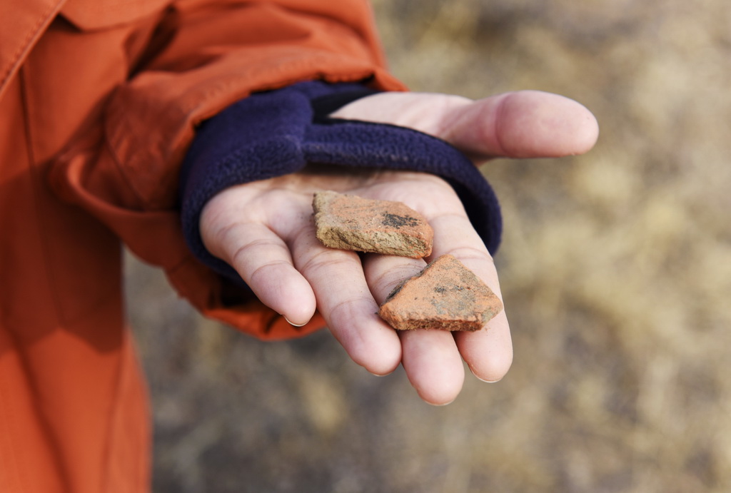 3月11日，在遼寧省朝陽市雙塔區，考古人員展示在調查現場發現的碎陶片。新華社記者 吳青昊 攝