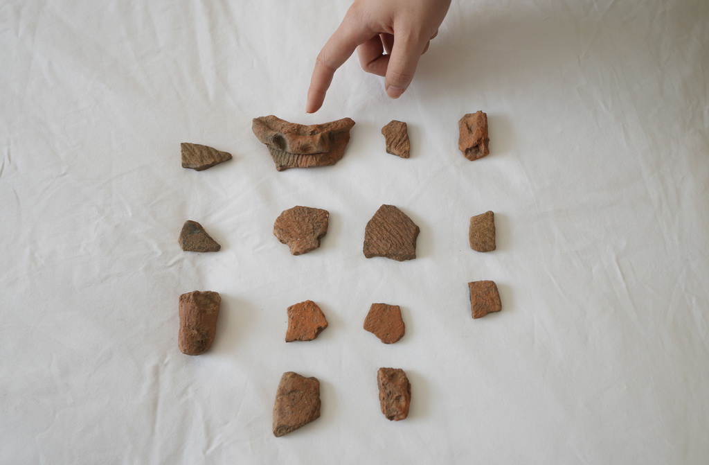 3月11日，在遼寧省朝陽市北票市的考古人員住所，考古人員展示在調查現場發現的碎陶片。新華社記者 李鋼 攝